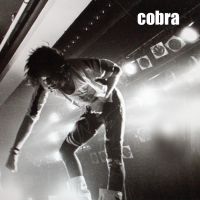Cobra michaelkaspar 1989.jpg