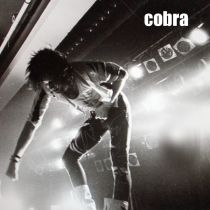 Cobra michaelkaspar 1989.jpg