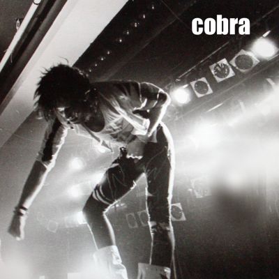 Cobra michaelkaspar 1989.jpg