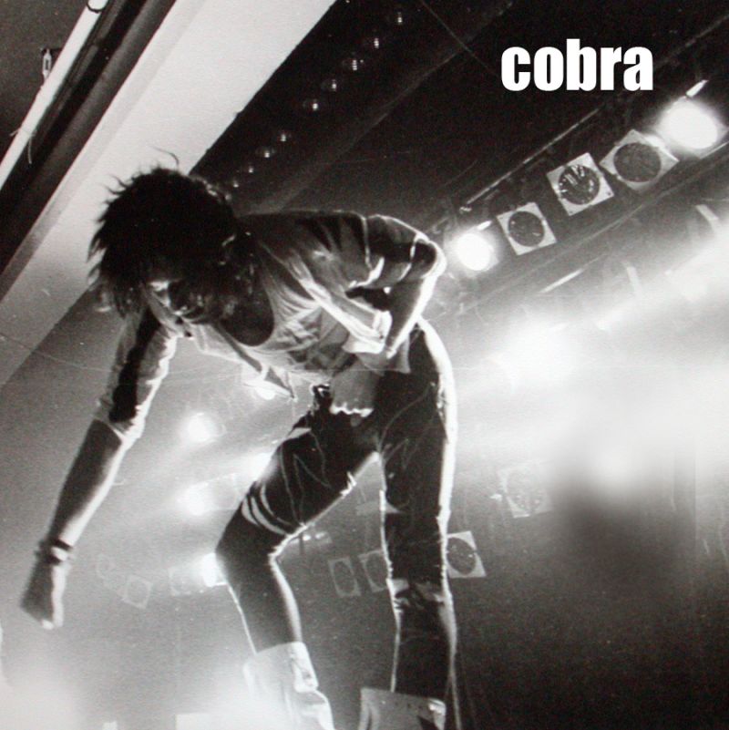 Cobra michaelkaspar 1989.jpg